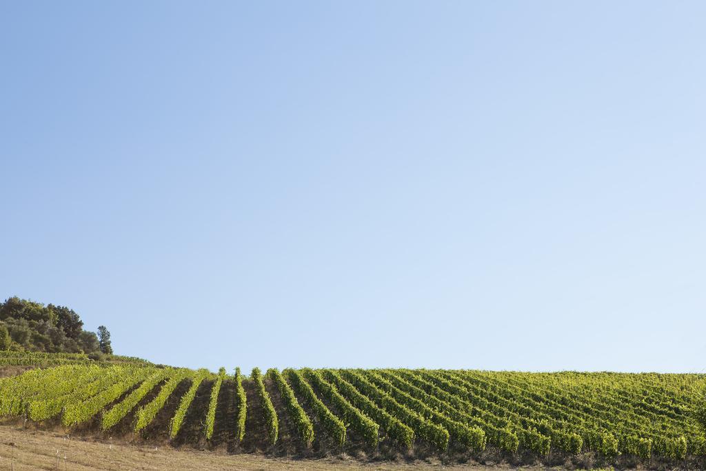 הוילה בארברינו די ואל ד'אלסה Quercia Al Poggio מראה חיצוני תמונה